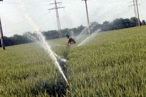 România, cel mai bun rezultat agricol din istorie. Afaceri de aproape 8 miliarde de euro