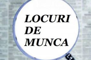 Locuri de munca Prahova: Peste 1300 de joburi disponibile in judet, prin AJOFM
