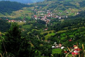 O saltea, „victimă” colaterală a cutremurului