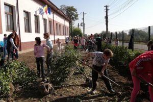 1000 de puieţi de arbuşti decorativi, plantaţi la şcolile din Preuteşti, de elevi şi ...