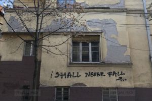 Timisorenii scapa de taxa pe paragina cu ajutorul functionarilor publici din primarie