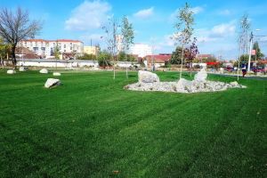 Fostul depozit de fier vechi din strada Oneştilor a devenit... spaţiu verde (FOTO)