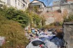 41 de terenuri virane, lasate de proprietari nesalubrizate si in paragina 