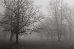 METEO: Ceaţă şi burniţă, la primele ore ale dimineţii. Cât vor urca temperaturile