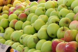 Preţurile medii la produsele agricole, aprobate