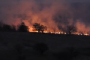 Incendii de vegetaţie în 7 localităţi cărăşene! Peste 30 de hectare de teren, arse în 24 de ore!