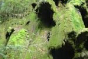 Cascadele Bigăr şi Beuşniţa, condamnate la dispariţie?