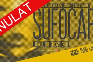 Teatrul Regina Maria: Spectacolul 