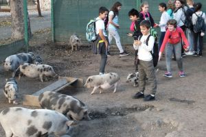 Zoo Oradea, o atracţie în cadrul Săptămânii Altfel: Peste 1.300 de elevi în vizită (FOTO)