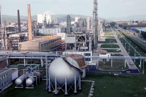 Șeful Consiliului Concurenţei: Privatizarea Oltchim, încheiată în cel mult o lună
