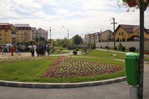 Bani pentru… irigaţii pe Calea Bucureşti