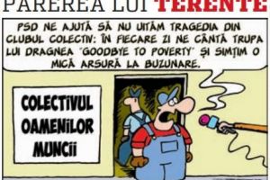 Părerea lui Terente