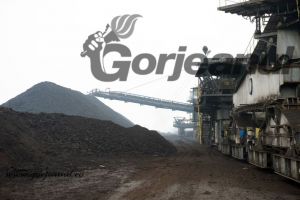 Bate gongul! Cota de cărbune în CEO nu se acordă pentru întârziaţi!