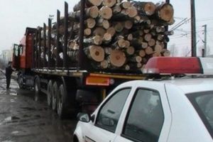 Sibian prins cu lemne furate în Olt – A prezentat acte false