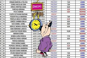 Camera de (reglat) Conturi: Cum câştigă concursurile nora fostului senator UDMR Lakatos Peter