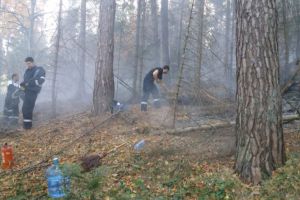 Incendiu de litieră la Tărlungeni