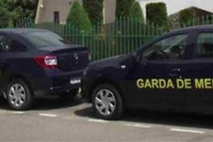 Garda de Mediu Satu Mare, controale pe bandă rulantă. Amenzi de peste 120 mii de lei