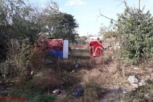 Actiune de amploare a politistilor locali din Constanta. Zeci de amenzi aplicate in cateva ore. In ce zone au actionat agentii (galerie foto) 