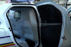 Sindicalist din poliţie, pus la zid pentru răspândire de informaţii false: maşinile de la ...