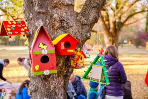Căsuţe colorate – de la copii, pentru păsările din Parcul Chindia