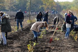 Prefectul îi scoate pe directorii de instituţii la plantat de copaci