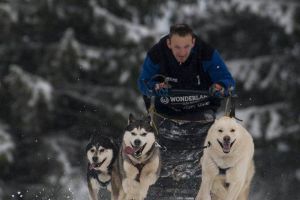Cupa Borsecului – Concurs de atelaje canine 2019