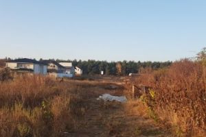 La Piteşti, cartier de vile cu drumuri de căruţă