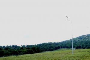 Garda de Mediu plantează 100 de arbori în Wonderland pentru a marca Centenarul