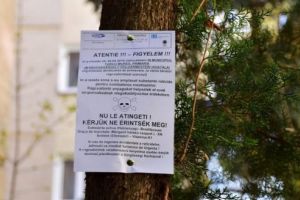 Deratizare pe domeniul public al municipiului Târgu-Mureş