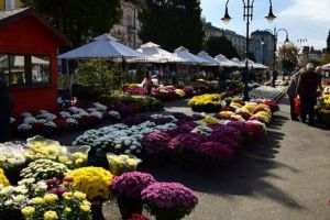 Expoziţie cu flori de vânzare, în Piaţa Trandafirilor