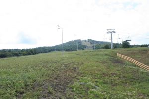 Pârtia Cocoş, înierbată „ieftin”. Ovidiu Creţu: Sămânţa a fost cumpărată şi împrăştiată de noi