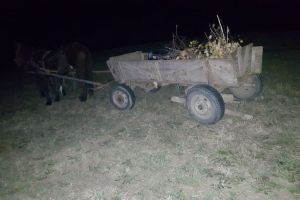 FOTO Căruţă lovită în plin de o maşina – Un copil rănit