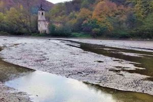 Cincişul  a rămas fără „coadă”