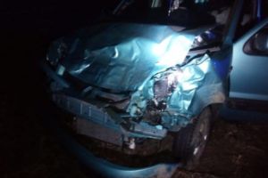 Urs lovit de maşină în Sâmbăta de Jos