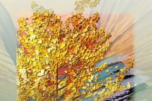 Astazi se deschide  „SALONUL DE TOAMNĂ”