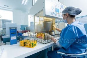 Laboratorul DSV din Vrancea a fost autorizat să facă analize pentru depistarea pestei porcine