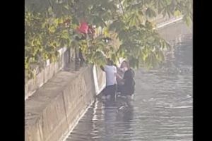 Jos pălăria clujeni! Oamenii au sărit în Someş să salveze un căţel - VIDEO