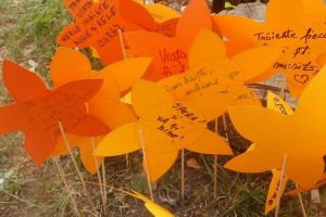 ”Harta sclerozei multiple în judeţul Bistriţa-Năsăud”