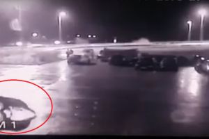 VIDEO Încă un urs lovit de un TIR pe Autostrada Sibiu- Sebeş