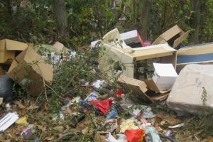 Gunoaie peste gunoaie! Tot mai multi oameni prinsi ca arunca deseuri pe strada