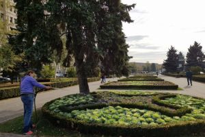 Angajatii SGU continua sa munceasca, desi nu si-au mai primit salariile de 2 luni. Vezi aici ce au mai facut prin oras