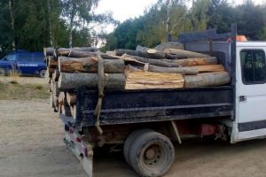 Zeci de metri cubi de lemn confiscaţi la Mărtiniş şi Borsec