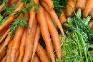 Morcovi plimbati de la Iasi la Braila