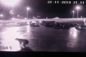VIDEO/ Al treilea urs implicat într-un accident, în aceeaşi noapte – a fost lovit de un TIR pe autostrada A1, la Sălişte după ce a trecut pe lângă mai multe persoane