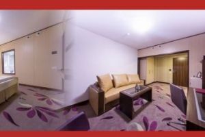 VIDEO: Se vinde prin licitaţie publică ultima cameră de hotel liberă din Alba Iulia, de 1 Decembrie. Banii strânşi vor fi folosiţi pentru organizarea unei cine festive pentru copiii de la o casă de tip familial din oraş