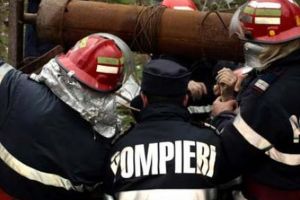 Vacă căzută într-o fântână la Sibiel