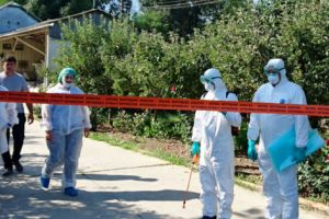 [PESTA PORCINĂ] Prefectura Argeş, reacţie oficială: animalele suspecte vor fi EUTANASIATE!