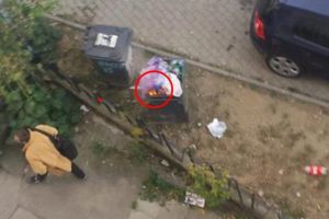 Piromanul din Complexul Studentesc a fost arestat preventiv