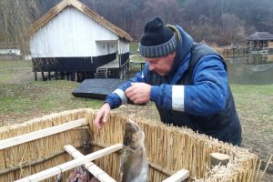 Pescarii din Delta Dunării gătesc peşte la Muzeul în Aer Liber din Sibiu