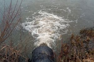 Amenzi de peste 800.000 de lei in Timis date de reprezentantii Garzii de Mediu